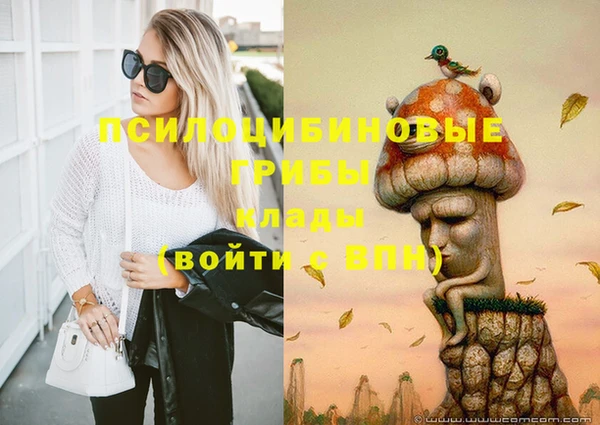 ГАЛЛЮЦИНОГЕННЫЕ ГРИБЫ Абинск
