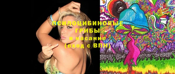 ПСИЛОЦИБИНОВЫЕ ГРИБЫ Абдулино
